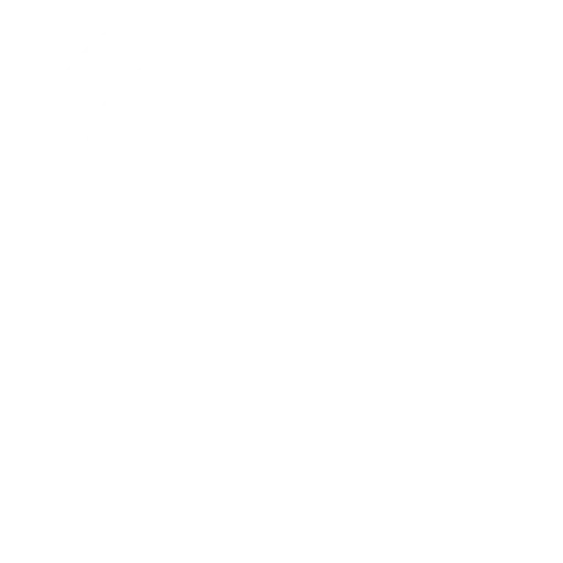 ssl (1)